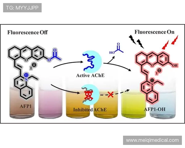 优发娱乐安全保障措施详解确保玩家资金与信息安全的关键策略